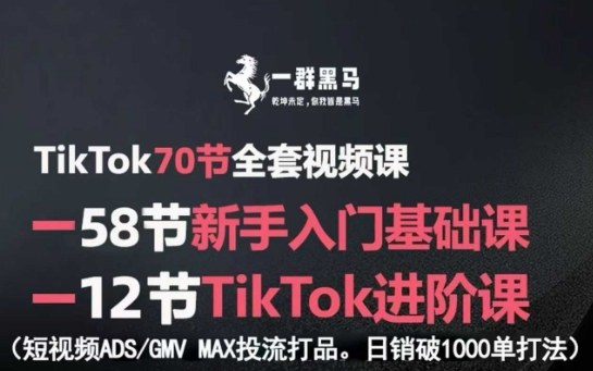 TikTok全套视频课,新手入门+进阶课,短视频ADS-GMV MAX投流打品,日销破1000单打法-旺仔资源库