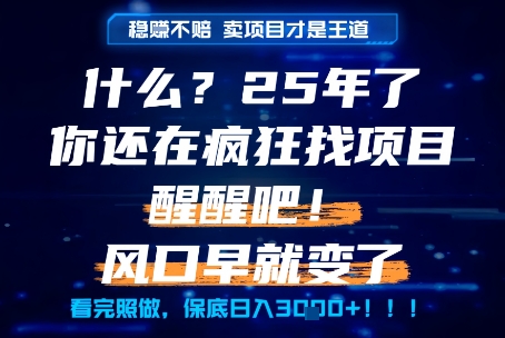 什么？25年你还在疯狂找项目做，醒醒吧，看完这些你全都懂了！【揭秘】-旺仔资源库