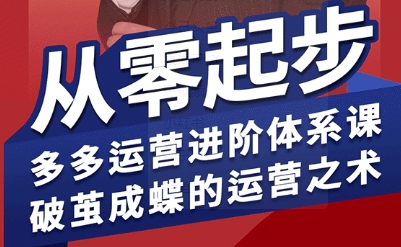 拼多多运营进阶系统课，从零起步，多多运营进阶体系课，破茧成蝶的运营之术(更新9月)-旺仔资源库