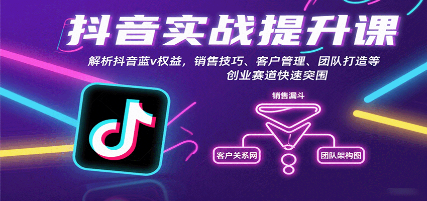 抖音实战提升课：解析抖音蓝v权益，销售技巧、客户管理、团队打造等创业赛道快速突围-旺仔资源库