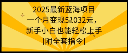 2025最新蓝海项目一个月变现1w+新手小白也能轻松上手【附全套指令】-旺仔资源库