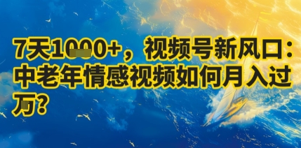 7天收益1k+，视频号新风口：中老年情感视频如何月入过W?-旺仔资源库