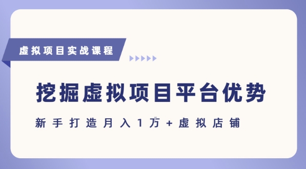 抓住虚拟项目各平台优势，新手轻松月入1W+(给出具体建议)-旺仔资源库