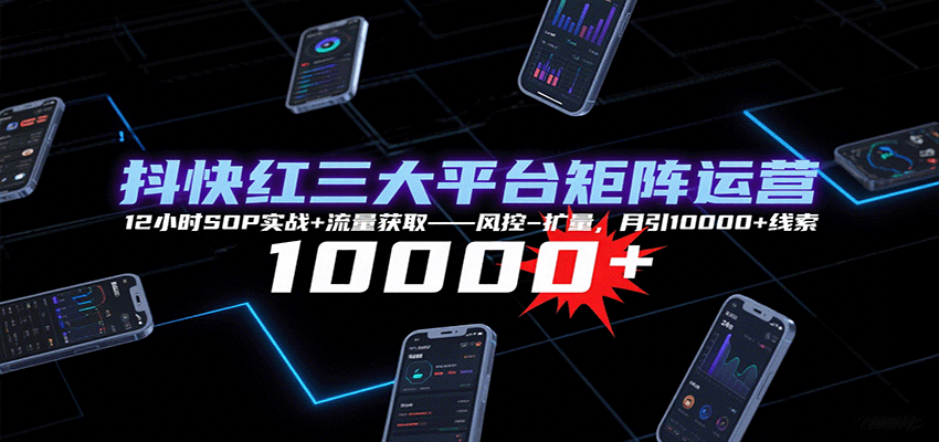 抖快红三大平台矩阵运营，12小时SOP实战+流量获取-风控-扩量，月引10000+线索-旺仔资源库