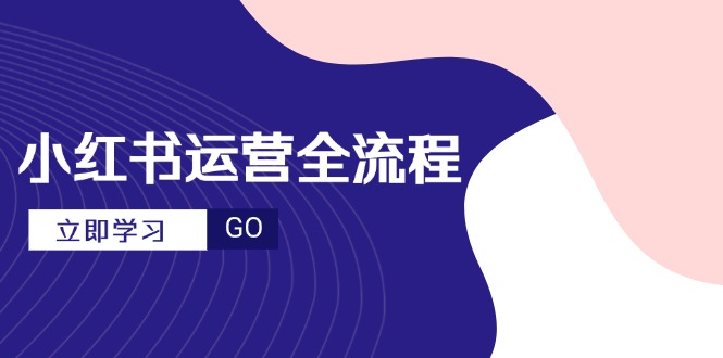 小红书运营全流程，爆款选题文案，视频制作技巧，进阶达人宝典-旺仔资源库