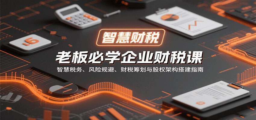 老板必学企业财税课：智慧税务、风险规避、财税筹划与股权架构搭建指南-旺仔资源库