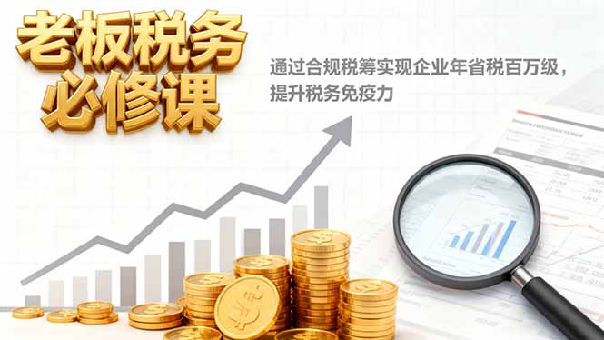 老板税务必修课，通过合规税筹实现企业年省税百万级，提升税务免疫力-旺仔资源库