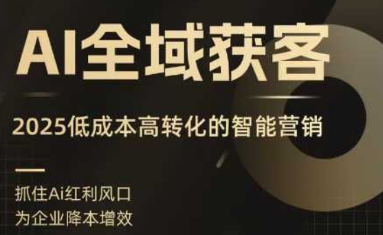 AI全域获客实训营,2025低成本高转化的智能营销,精准找客,高效营销-旺仔资源库