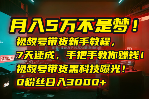 月入5万不是梦！视频号带货新手教程，7天速成，手把手教你赚钱！视频号…-旺仔资源库