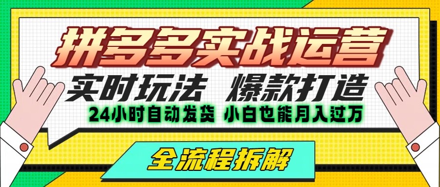 拼多多最新实战运营高投产：长久稳定项目，单店利润一天三位数-旺仔资源库