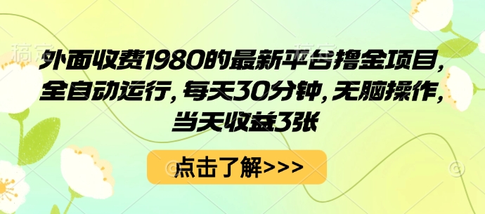 外面收费1980的最新平台撸金项目，全自动运行，每天30分钟，无脑操作，当天收益3张【揭秘】-旺仔资源库