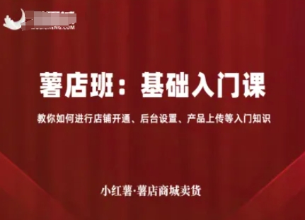 小红薯薯店商城卖货,基础入门课,教你如何进行店铺开通、后台设置、产品上传等入门知识-旺仔资源库