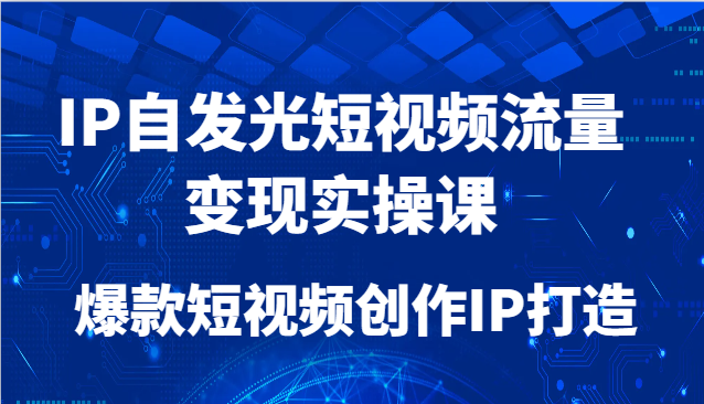 IP自发光短视频流量变现实操课，爆款短视频创作IP打造-旺仔资源库