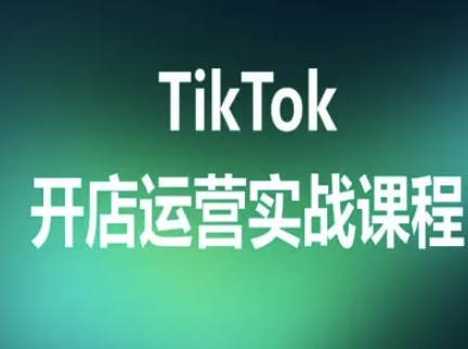 TikTok开店运营实战课程，TK跨境电商实操全流程-旺仔资源库